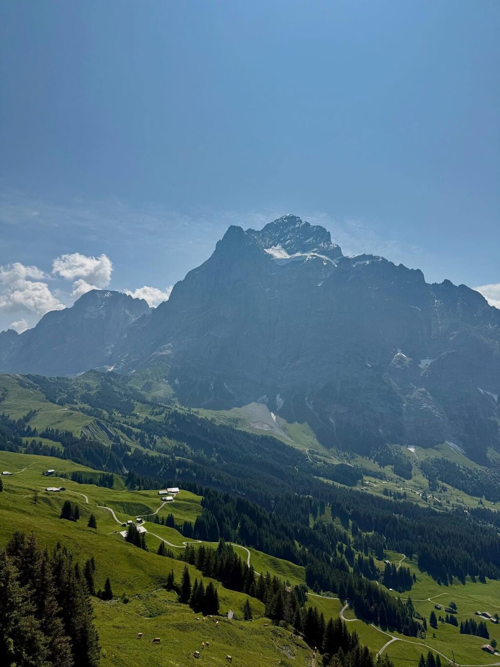A dreamy day in the Swiss Mountains 🌞⛰️ #swissdreamescapes