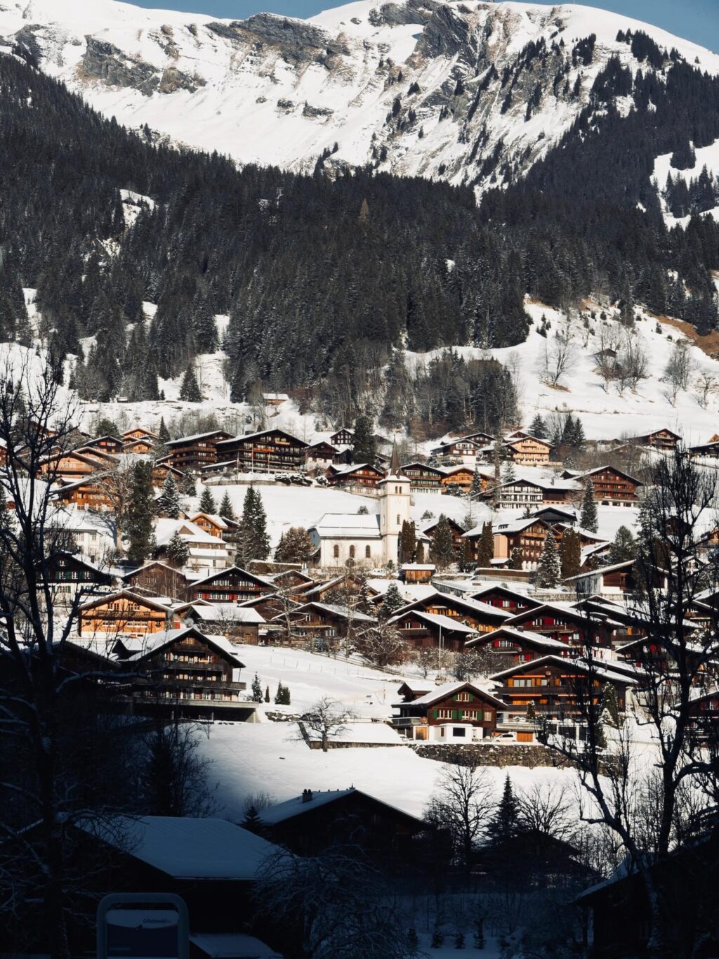 Swiss Slopes > Everything else 🎿🤍