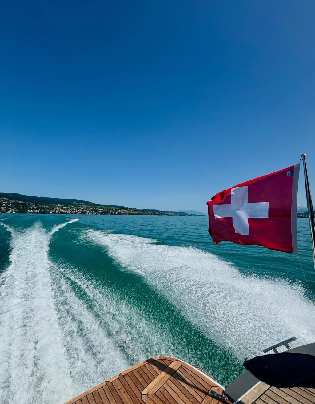 Lake Zurich Therapy 🍉