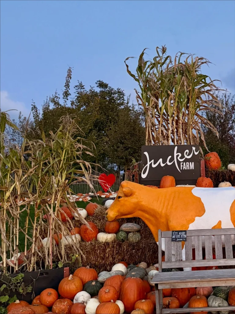 Golden Autumn in Switzerland 🍁🎃🧡