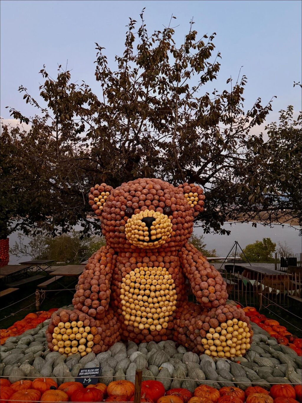 Golden Autumn in Switzerland 🍁🎃🧡