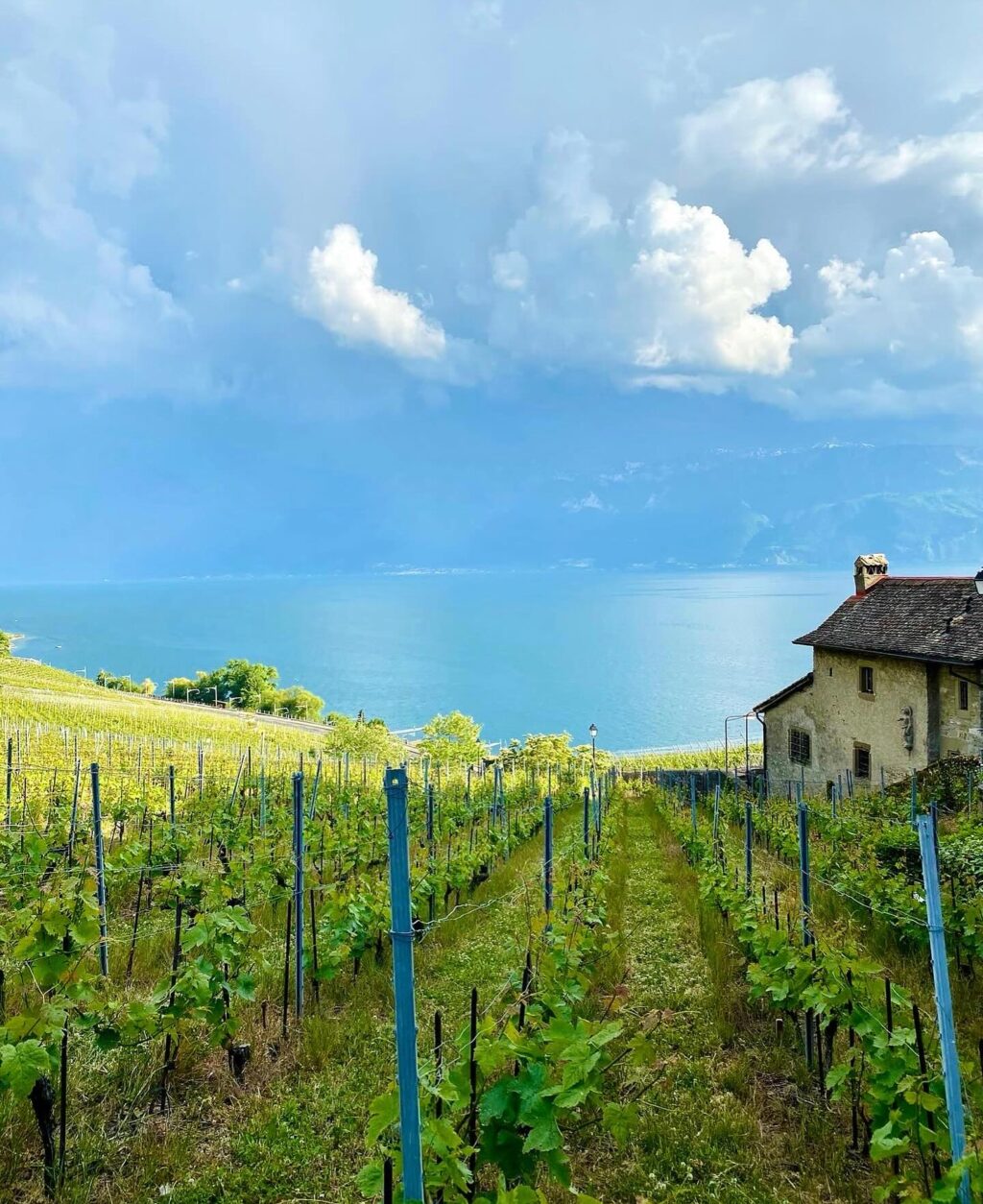 One country. Endless wonders. Your Swiss DMC dedicated to luxury travel advisors. #swissdreamescapes🇨🇭